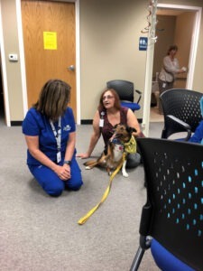 Lifesong resident sitting with a therapy dog